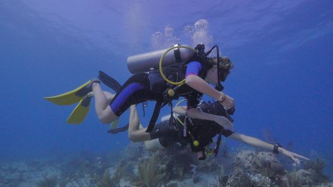 Scuba Diving in Puerto Aventuras