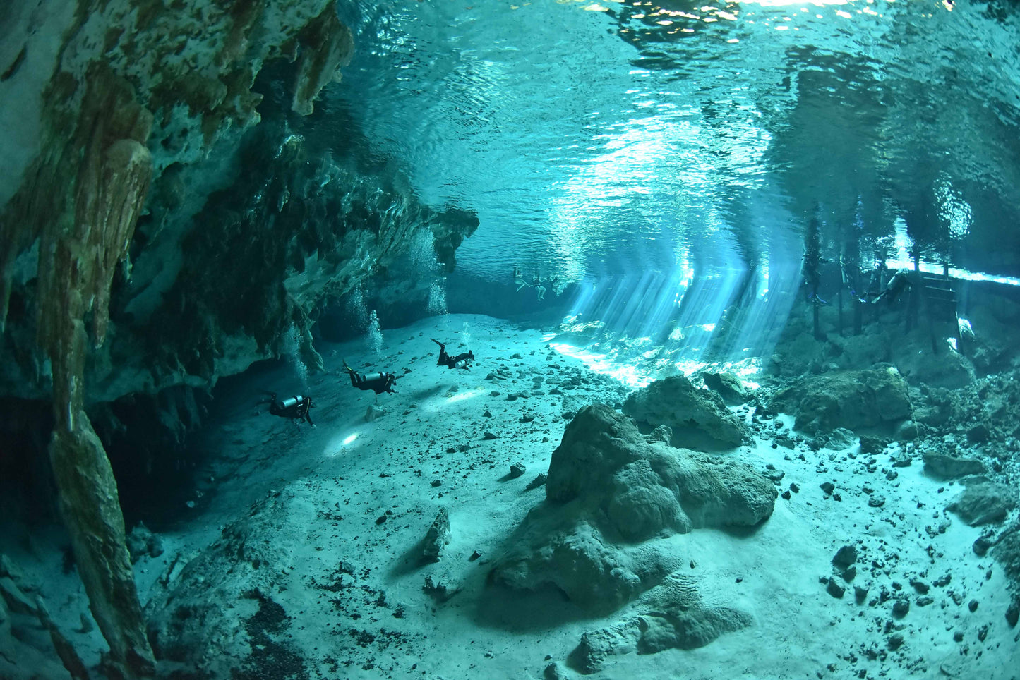 Buceo en cenotes - Dos inmersiones