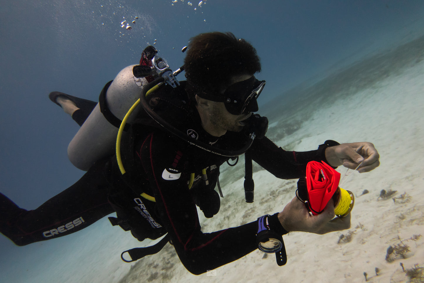 PADI Open Water Course