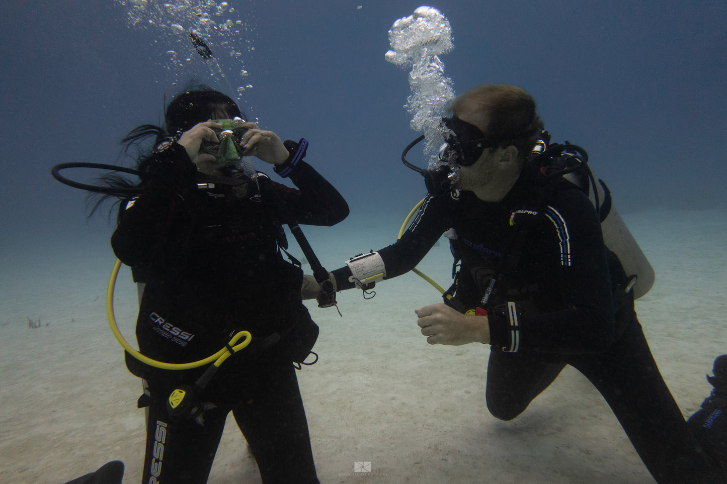 PADI Open Water Course