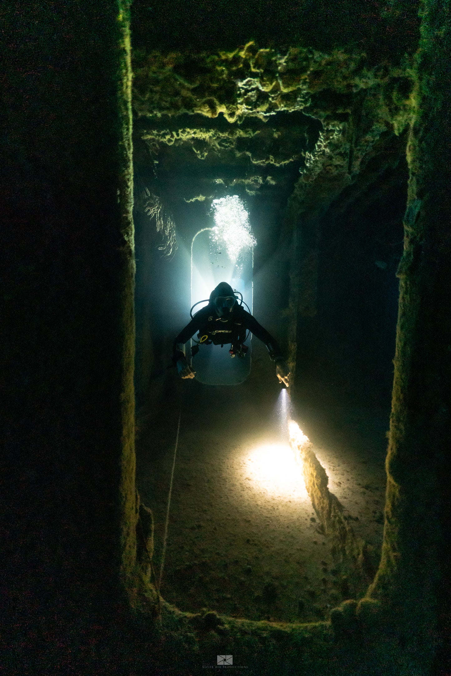Scuba Diving Puerto Morelos C56