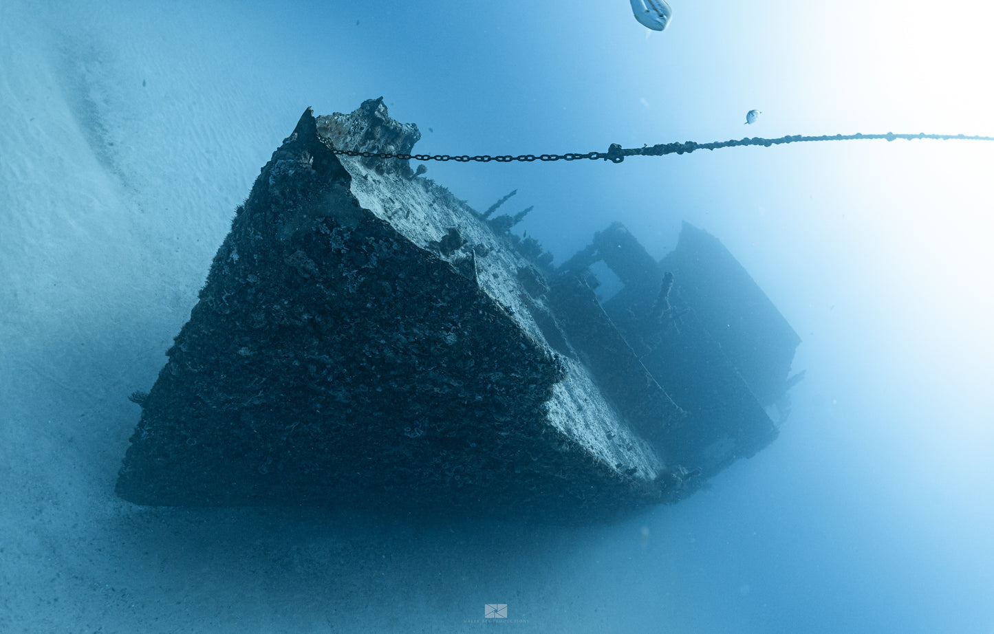 Scuba Diving Puerto Morelos C56